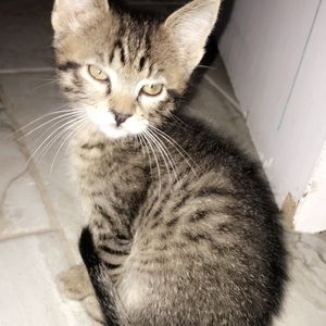 Meet your Posher, Marianna